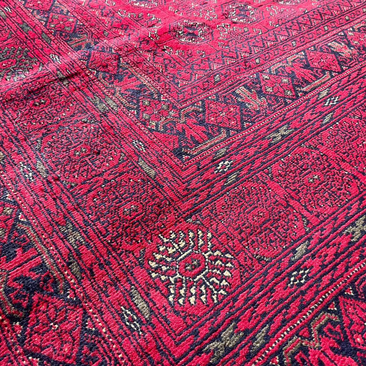 Fine Afghan Mawri Gul Large Rug