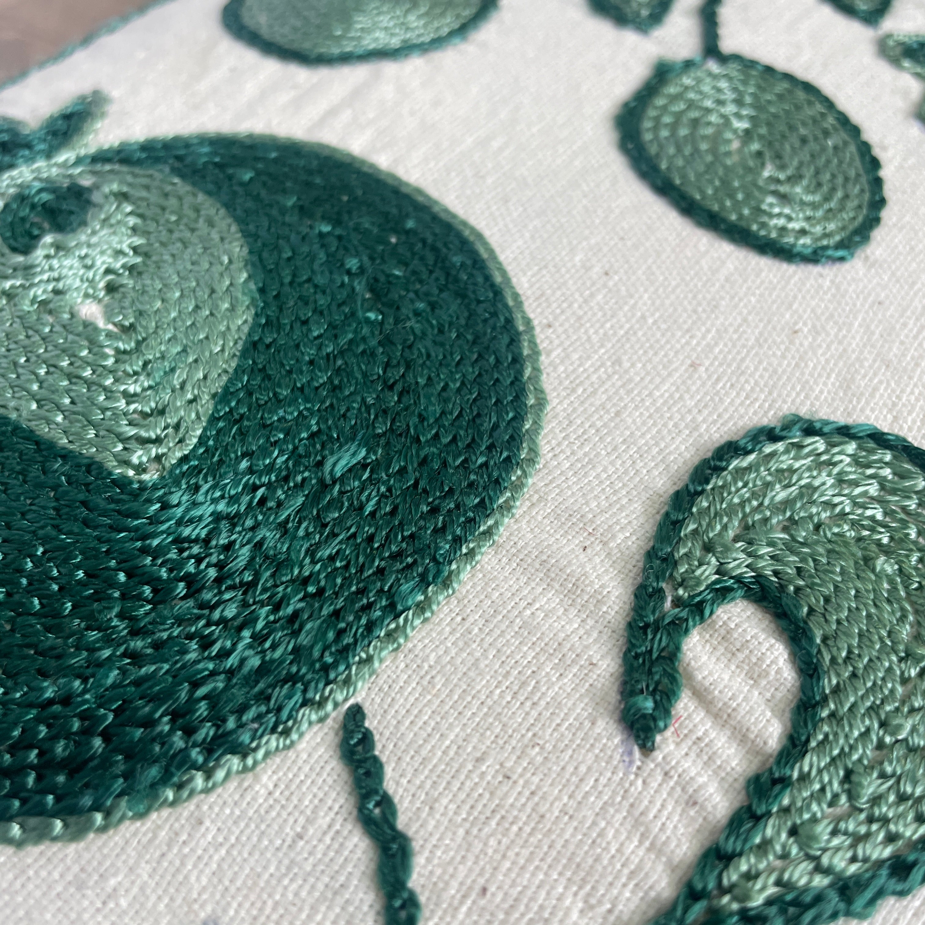Uzbek Suzani Cushion Cover
