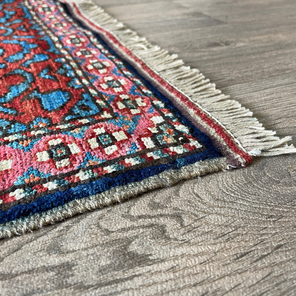 Caucasian Shirvan Rug