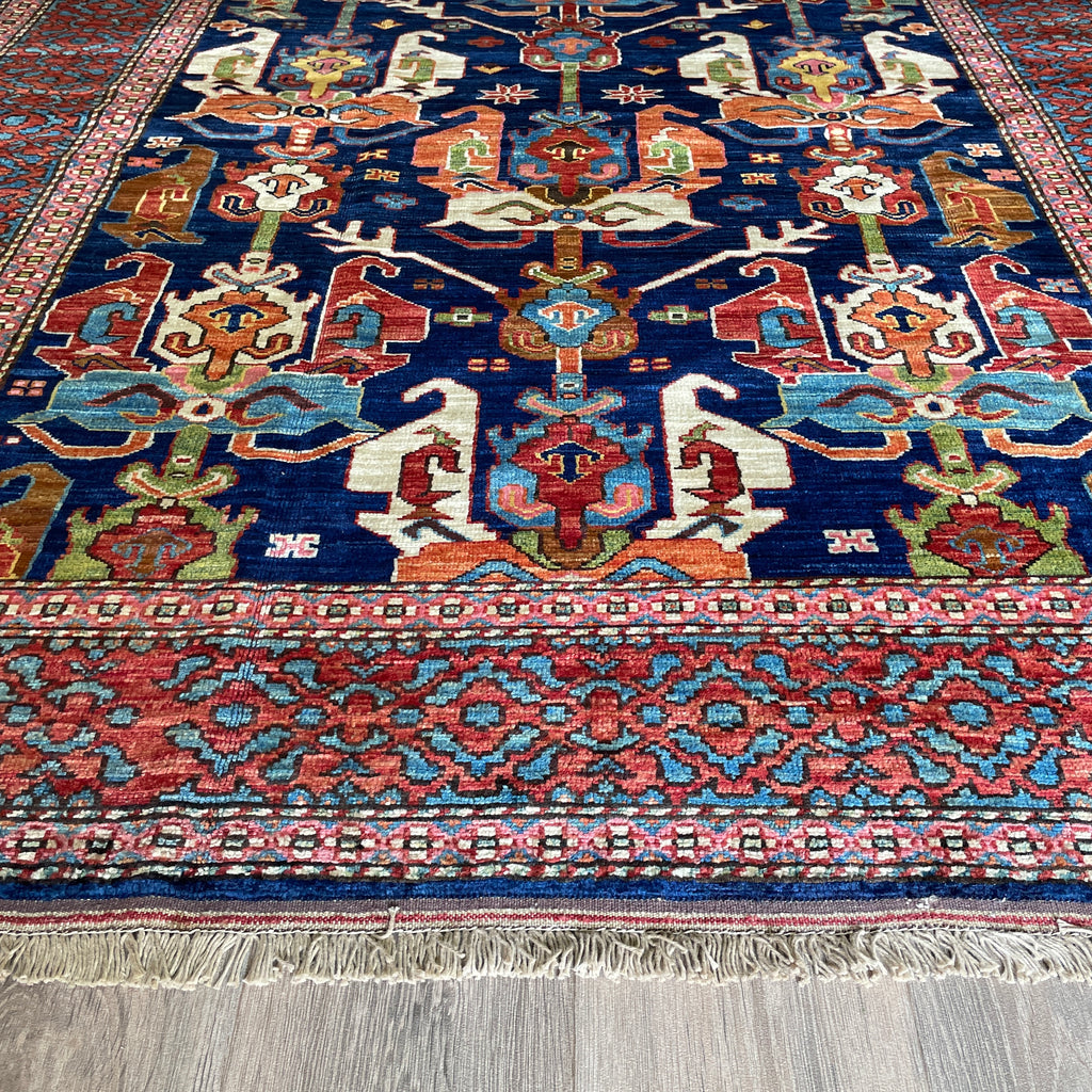 Caucasian Shirvan Rug