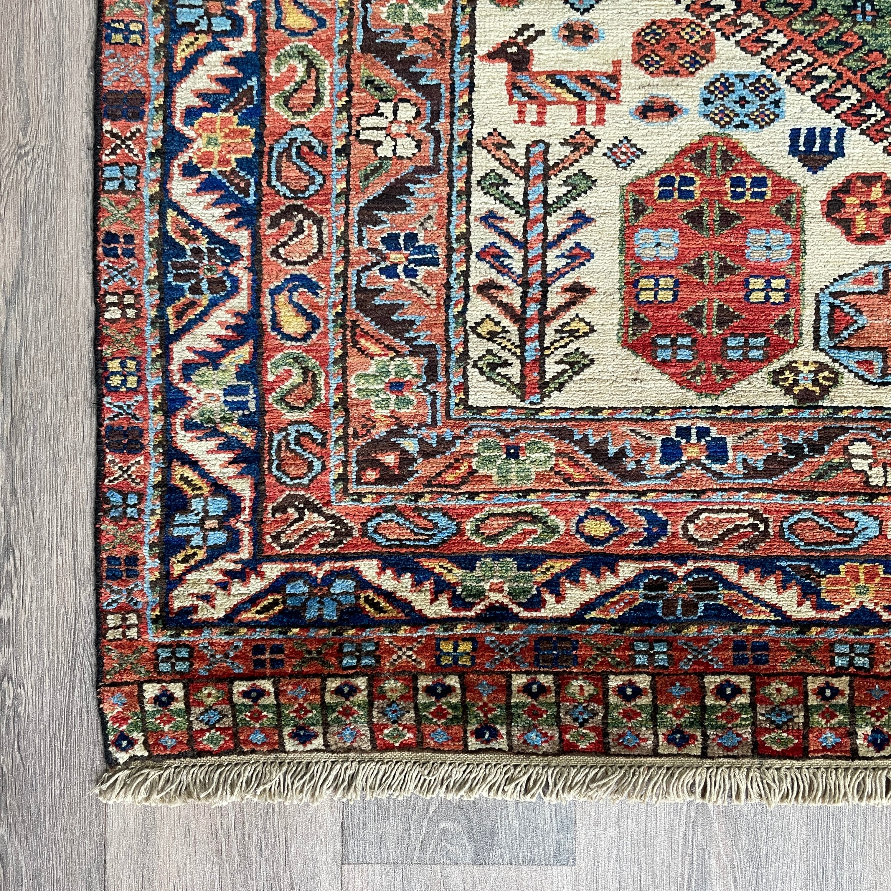 Caucasian Shirvan Rug
