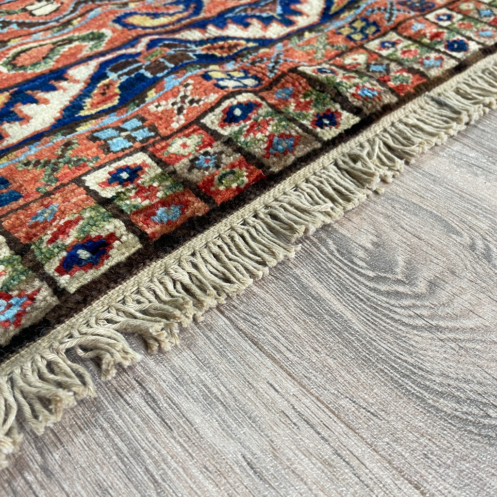 Caucasian Shirvan Rug