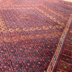 Afghan Fine Mushwani Rug (Belgian Wool)