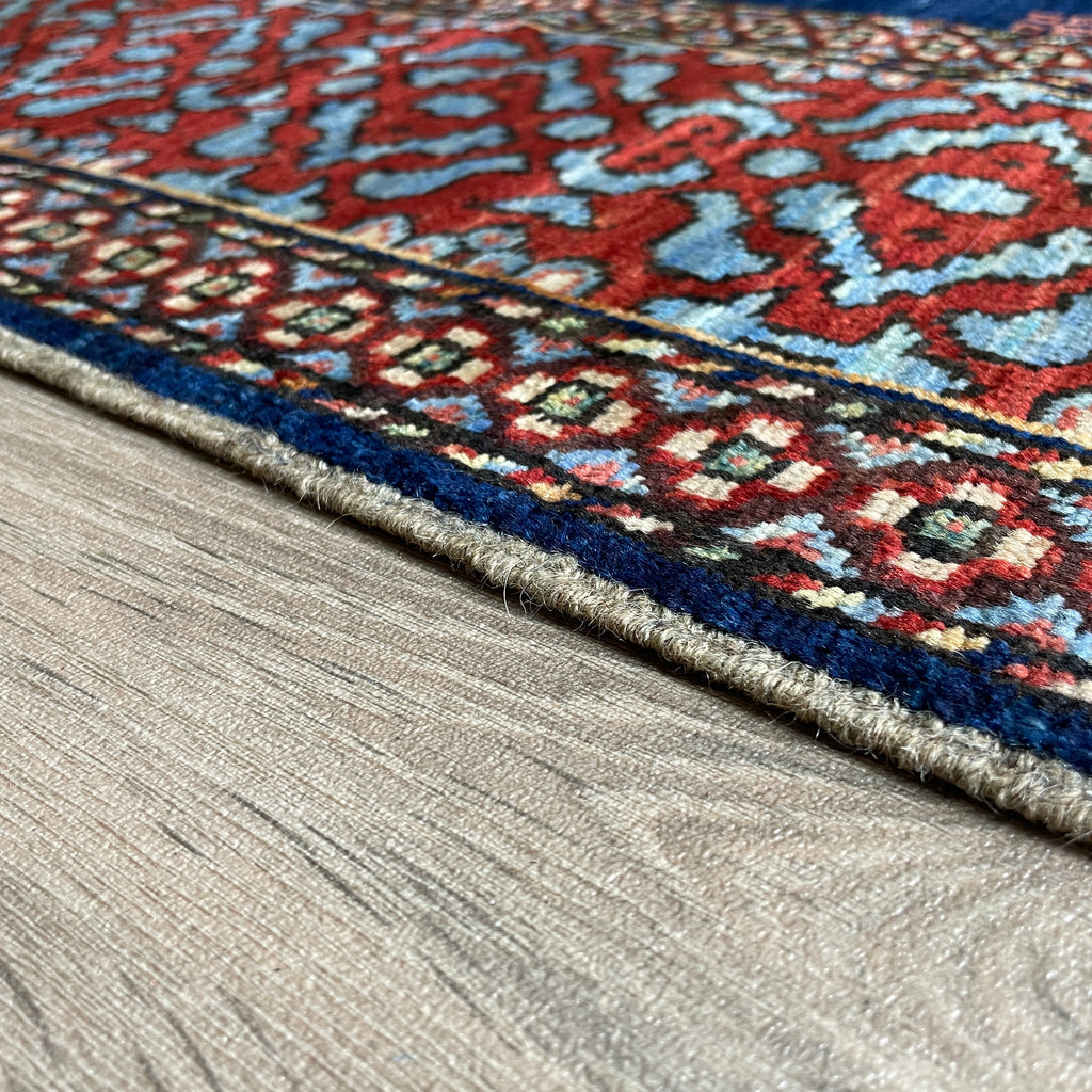 Caucasian Shirvan Rug