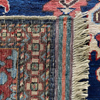 Caucasian Shirvan Rug