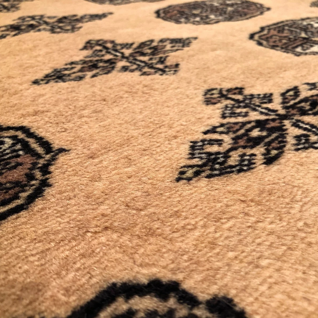 Afghan Bokhara Rug